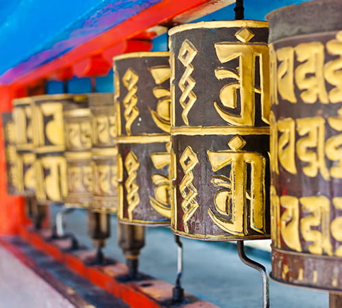 Ideal Sikkim Darjeeling Family Tour